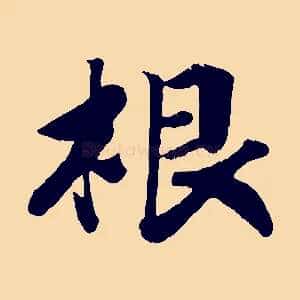 根