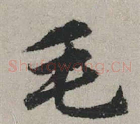 毛