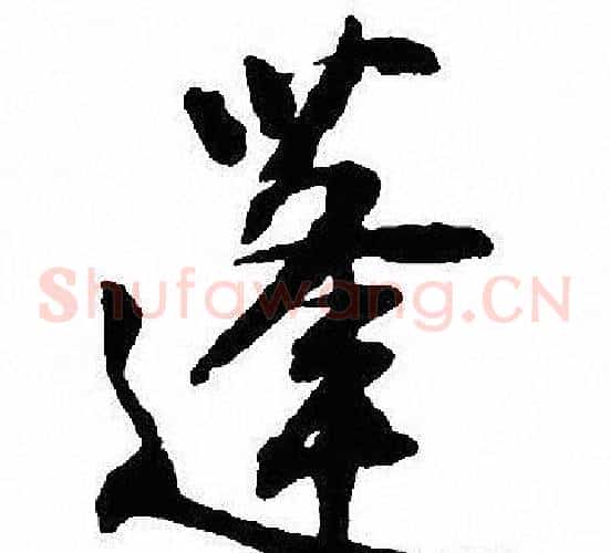蓬