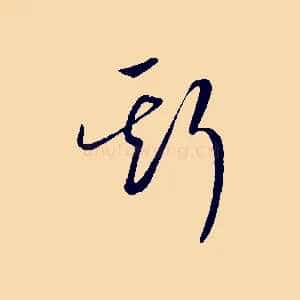 斯