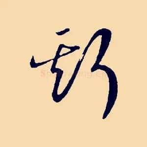 斯