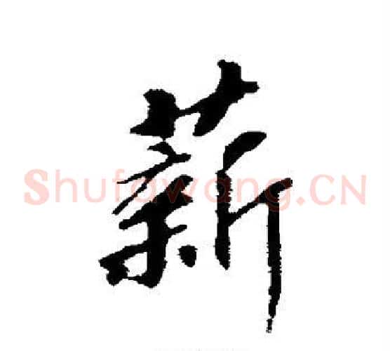 薪
