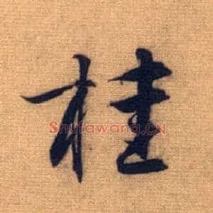 桂