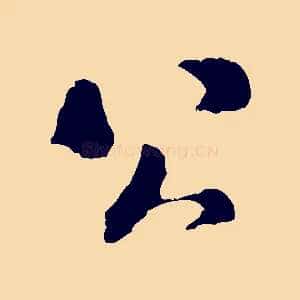 公