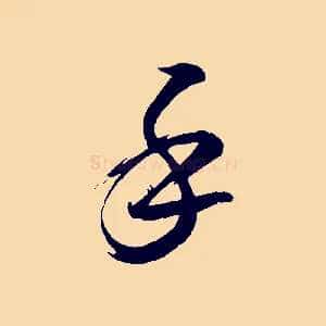 手