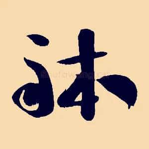 體