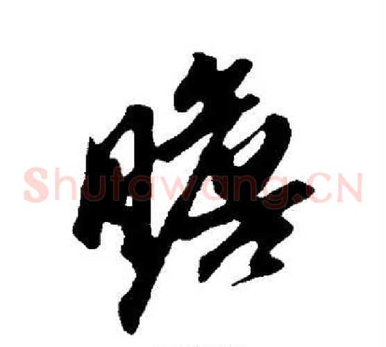 瞻
