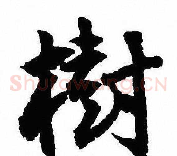 樹