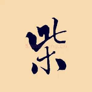 紫