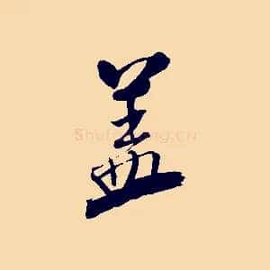 蓋