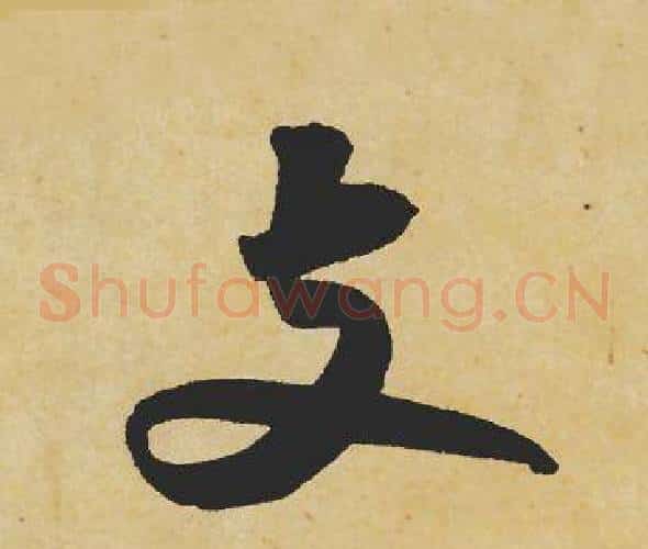 支