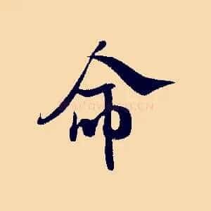 命