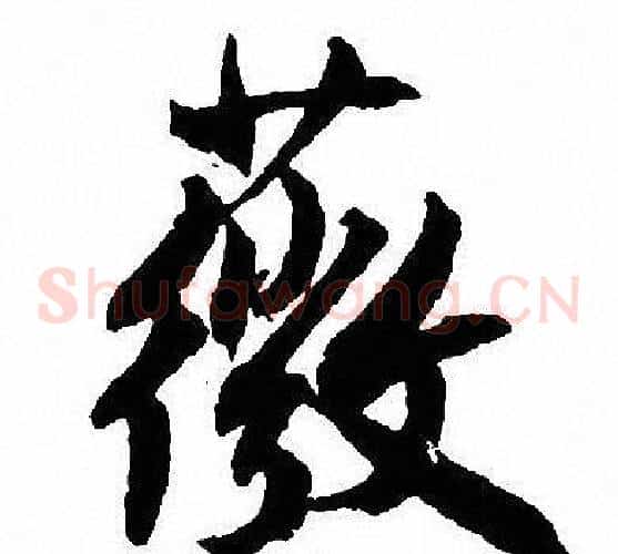 薇