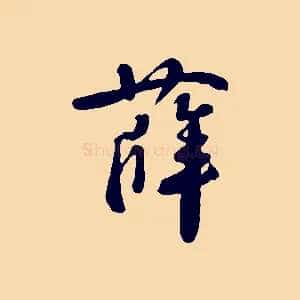 薛