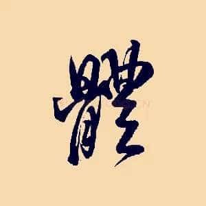 體
