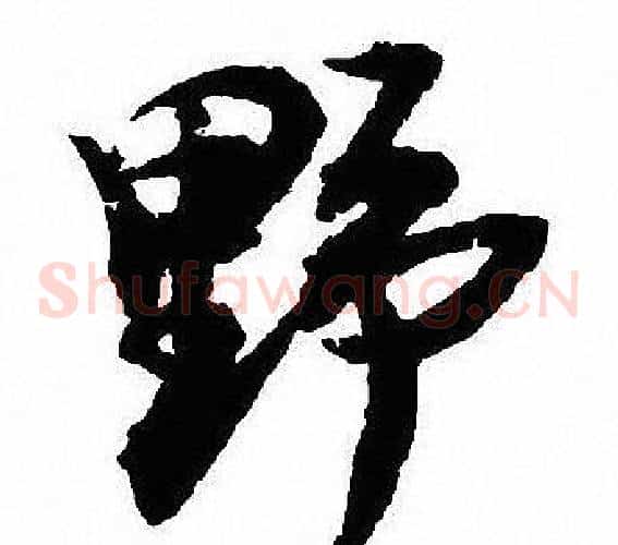 野