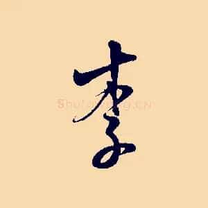 李