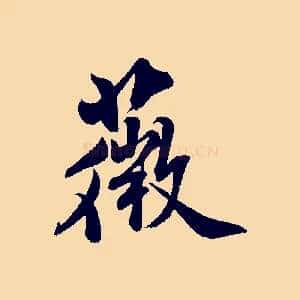 薇