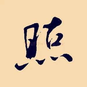 照