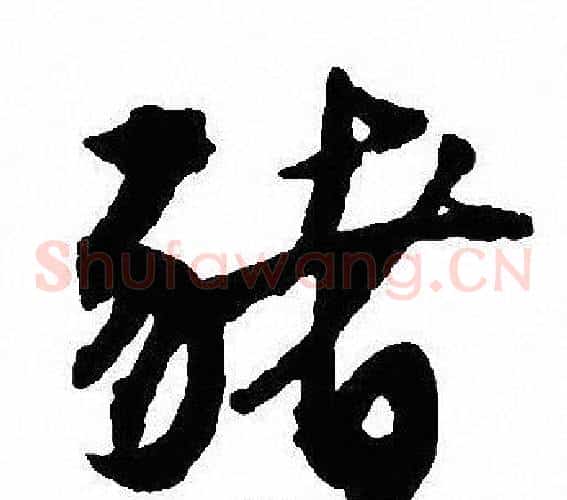 豬