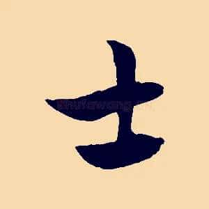 士