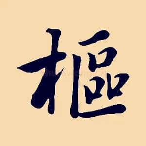樞