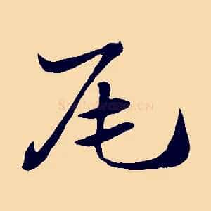 尾