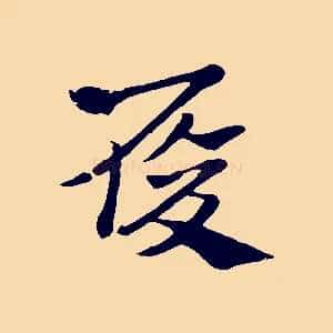 履