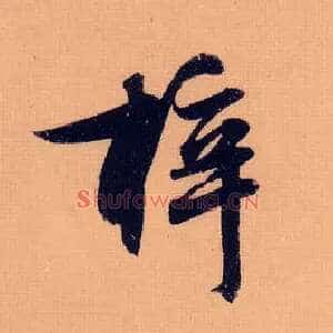 梓