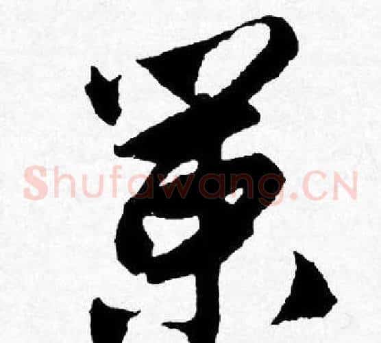 策