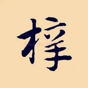 梓