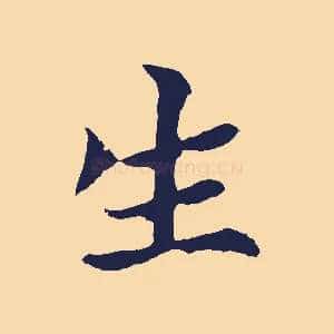 生