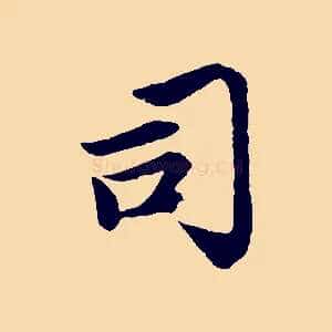 司
