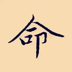 命