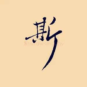 斯