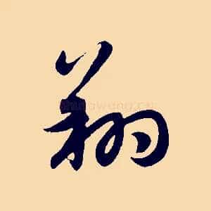 翔
