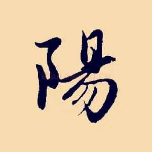 陽