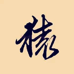 猿