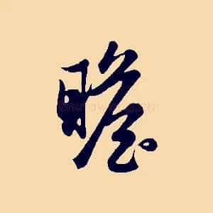 瞻