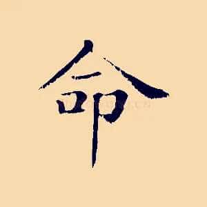 命