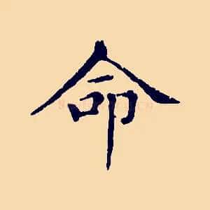 命