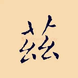 茲