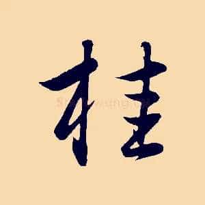 桂