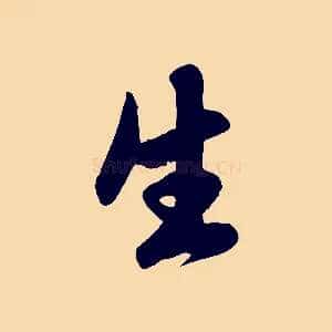 生