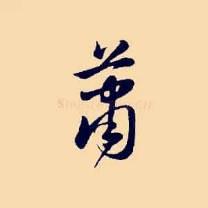 蕭