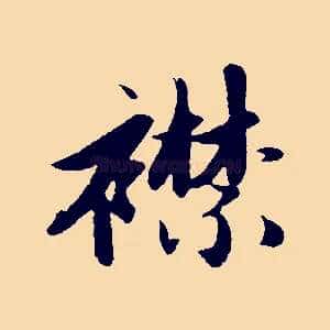襟