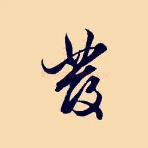 發