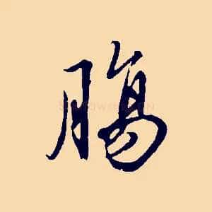 腸
