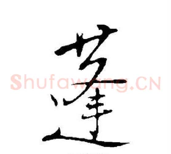 蓬