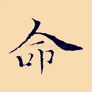 命